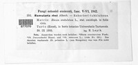 Image Associated With the Occurence